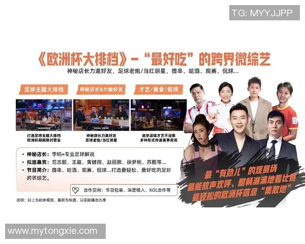 欧洲杯赛事媒体传播与市场营销策略 欧洲杯赛事媒体传播与市场营销策略