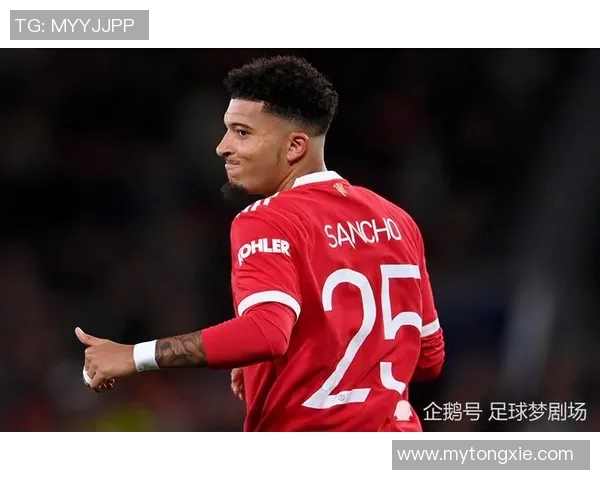 火箭冲击金球奖？数据全面对比分析