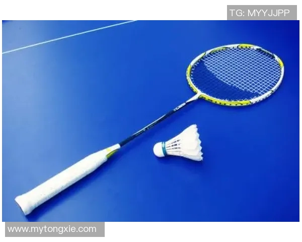 羽毛球比赛高强度对拉阶段运动员体力消耗与恢复规律分析及其影响因素研究 羽毛球比赛高强度对拉阶段运动员体力消耗与恢复规律分析及其影响因素研究